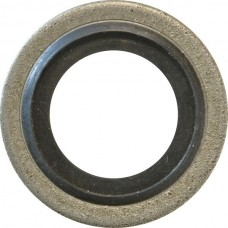 #2 BSP BONDED SEAL