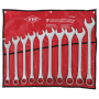 10PC JUMBO WRENCH SET