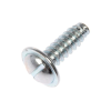 LICENSE PLATE SCREWS