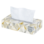 2-PLY FACIAL TISSUE, 125