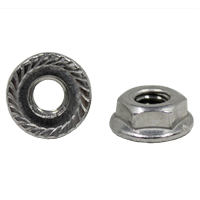 5/16 SS FLANGE NUT