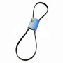 PUMP DRIVE BELT