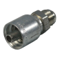 #8 MALE JIC-#6 HOSE