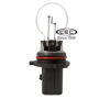 BULB