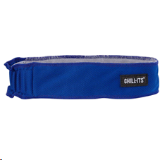 BLUE HIGH-PERFORMANCE