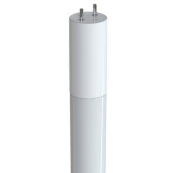 5000K LED T8 TUBE BULB