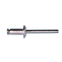 RIVET