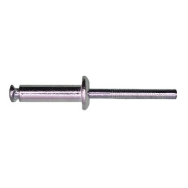 RIVET