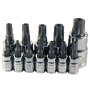 12PC 5 LOBE TORX PLUS