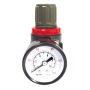 AIR REG W/GAUGE