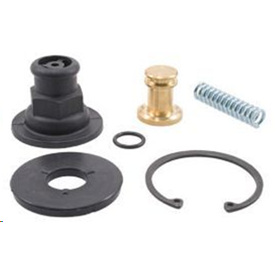 AD-SP PURGE VALVE KIT