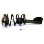 QUICK-STRUT ASSEMBLY