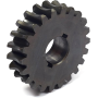 GEAR WORM