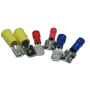 TERMINAL ASSORTMENT