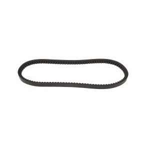 AUTO BELT