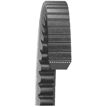 DAYCO BELT
