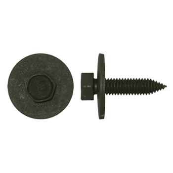 BODY BOLT