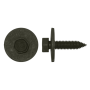 BODY BOLT
