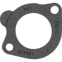 THERMOSTAT GASKET