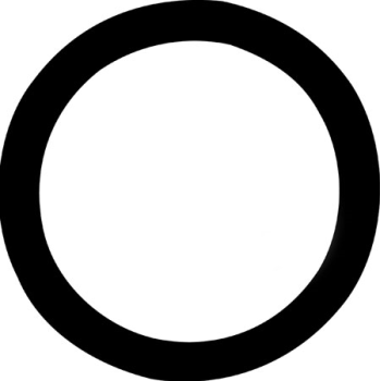O RING