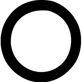 THERMOSTAT O RING