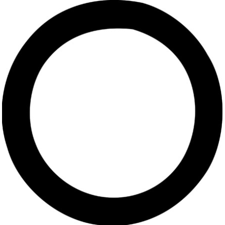 THERMOSTAT O RING