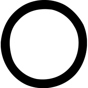 THERMOSTAT O RING