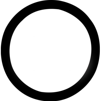 THERMOSTAT SEAL