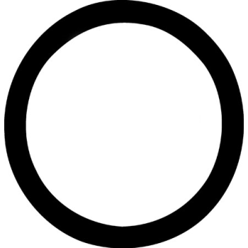THERMOSTAT O-RING