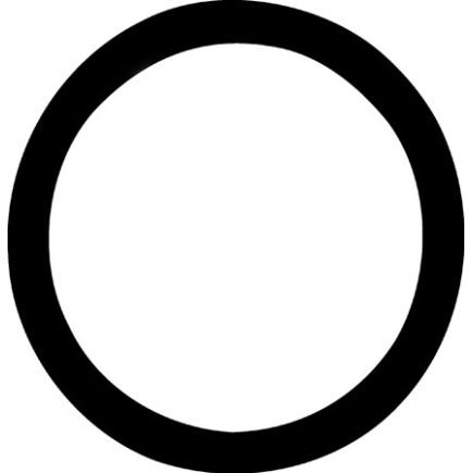 THERMOSTAT O-RING