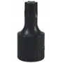 T40 TORX BIT