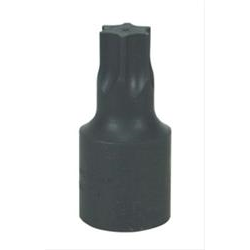 T45 TORX BIT