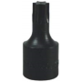 T50 TORX BIT
