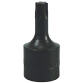 T55 TORX BIT