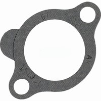 THERMOSTAT GASKET