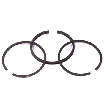 BRIGGS RING SET