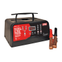 6/12V SMART CHARGER