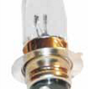 4 WHEELER BULB 35W/35W