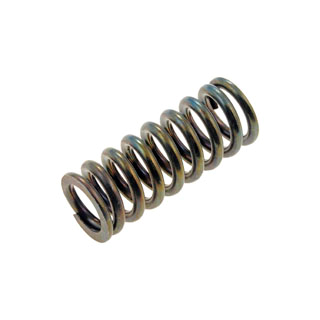 DOOR HINGE SPRING