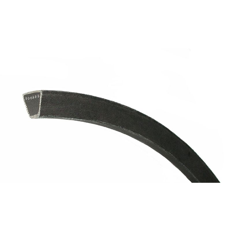 JASON BELT