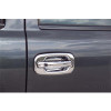 DOOR HANDLE INSERT