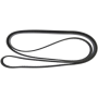 POLY-V BELT
