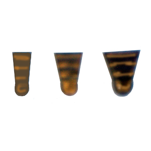 WEDGE-METAL-STAFAST #5