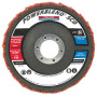 FLAPDISC