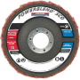 FLAPDISC