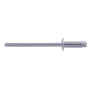 1/8X1/4 SS RIVET