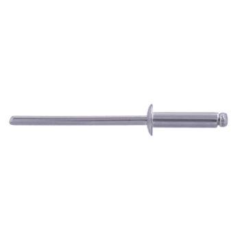 1/8X3/8 S/S RIVET