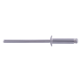 1/8X3/8 S/S RIVET