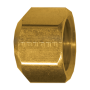 #6 SAE CAP