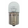 24V BULB